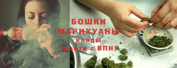 ECSTASY Богородицк